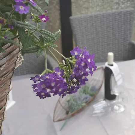 Casa Carlotta - Keine Monteure * Langelsheim